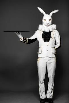Actor posing in white rabbit suit with tray on black background.Studio shot Stock Photos