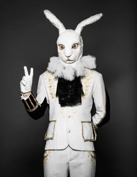 Actor posing in white rabbit suit on black background.Studio shot.Halloween time Stock Photos