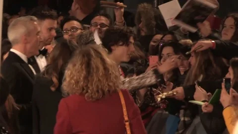 Actor Timothee Chalamet attends 72nd British Academy Film Awards - 2019 Video stock 103670425