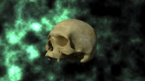 Actual Human Skull, 3D Scan, rotating on BG with matte - 24P Video stock 7447741
