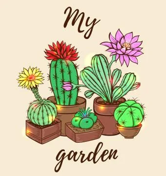 ?actus in a flowerpot. Stock Illustration