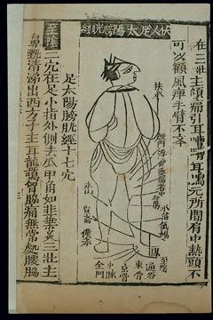 Acu-moxa chart: bladder channel of foot taiyang, prone figure Stock Illustration