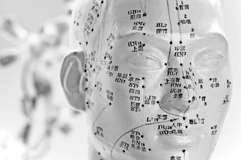 Acupuncture head model Stock Photos