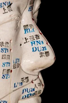 Acupuncture head model Stock Photos