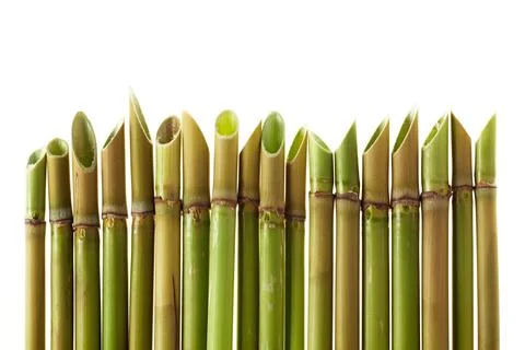 Acute cane background Stock Photos