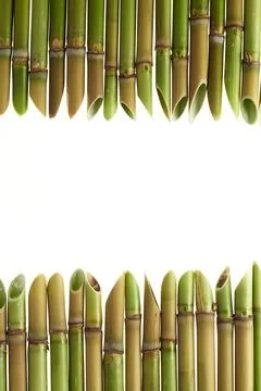 Acute cane frame Stock Photos