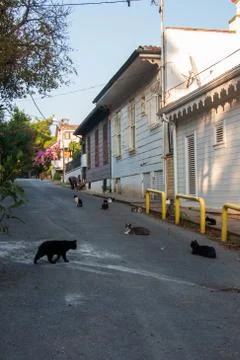 Adalar streets Stock Photos