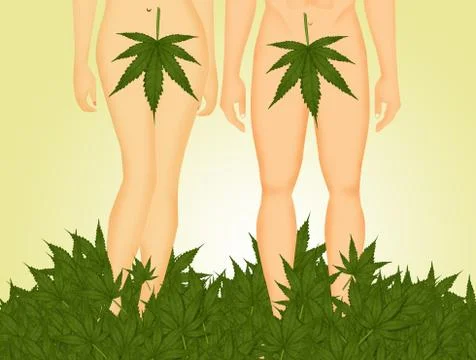 Adam and Eve in the Eden withe marijuana leaf Stock Illustration