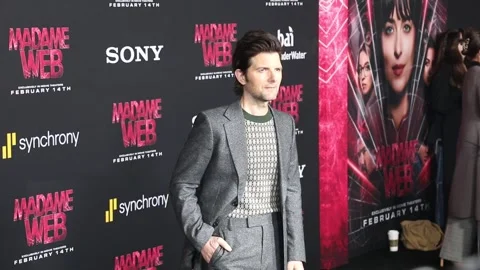 Adam Scott Video stock 264524190