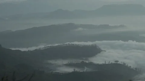 Adam's pick Vidéo 41143898