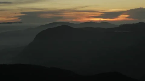 Adam's pick Vidéo 41143999