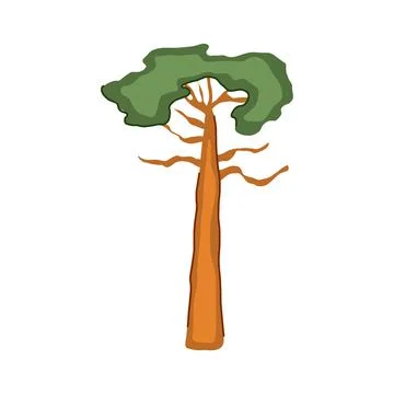 Adansonia baobab tree cartoon vector illustration Stock Illustration