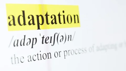 Adaptation Text Macro Shot Highlighted in Yellow Color On Computer Screen Stock Footage 123224182