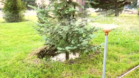Adaptive sprinkler irrigation system operating in a green park Stock Footage 240646951