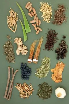 Adaptogen Food Selection 写真素材