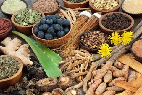 Adaptogen Food Selection 写真素材