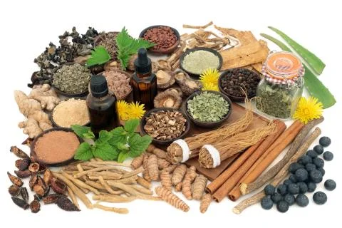 Adaptogen Food Selection Stock Photos