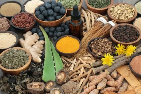 Adaptogenic Food Selection 写真素材