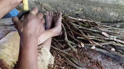 Adasanda Koketta Crescent Scraper Close Up View Video stock 346425456