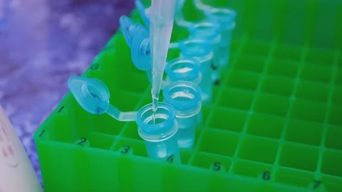 Add fluid to test tube Stock Footage 113801194