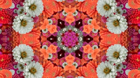 No Add Video Stock Videos – Royalty-Free HD & 4K Videos