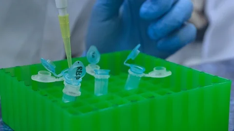 Add substance with a pipette to the tube Stock Footage 115528341
