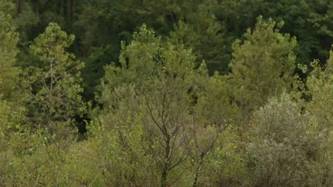 Adda park Stock Footage 137729259