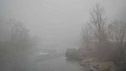 Adda river Stock Footage 169219646