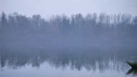 Adda river in Trezzo, Milan. Stock Footage 167944047