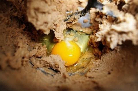 Added egg and vanillin Stock-Fotos