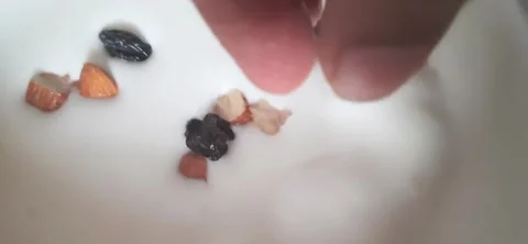 Adding Almonds and Raisins on White Ice Cream – Dessert Topping Close-Up 動画素材 332001055