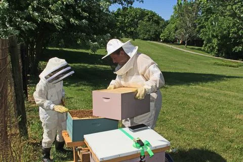 Adding Another Hive Box to a Beehive Stock Photos