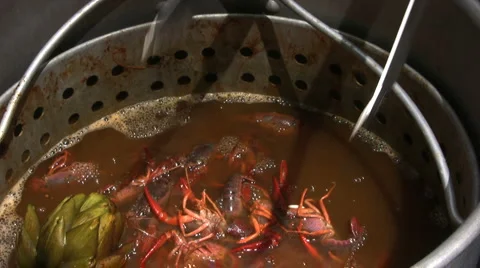Adding artichokes to crawfish Stock Footage 2649879
