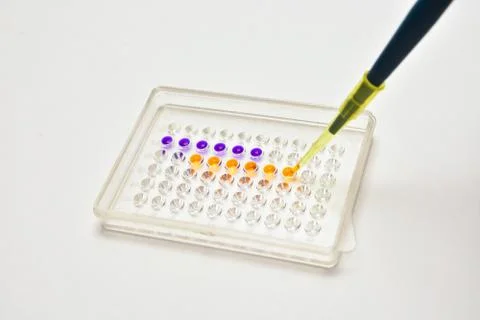 Adding a biological sample pipette. Stock Photos