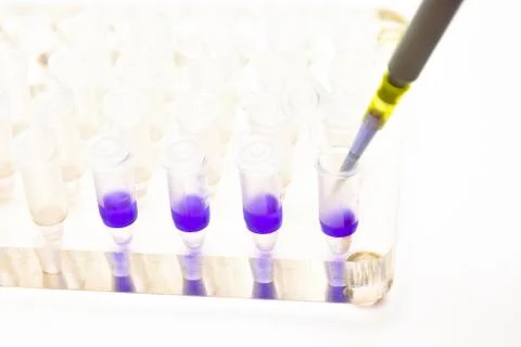 Adding a biological sample pipette. Stock-Fotos