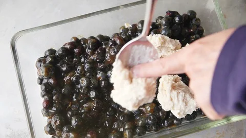 Adding biscuit topping to blueberry cobbler Stock Footage 92535695