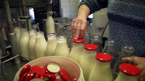 Adding caps to bottles filled with milk [Slomo] Stock Footage 35170792