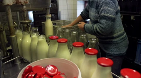 Adding caps to bottles filled with milk [Slomo] Stock Footage 35170824