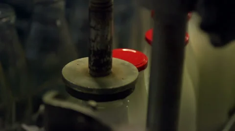 Adding caps to bottles filled with milk [Slomo] Stock Footage 35170910