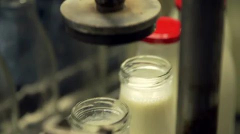 Adding caps to bottles filled with milk Stock Footage 35178784