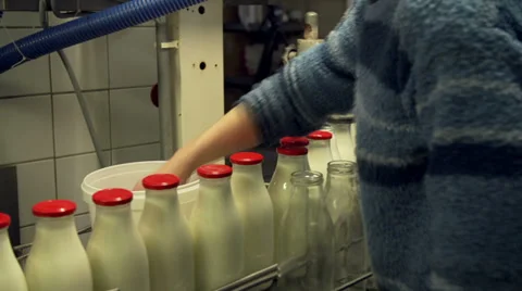 Adding caps to bottles filled with milk Video stock 35178805