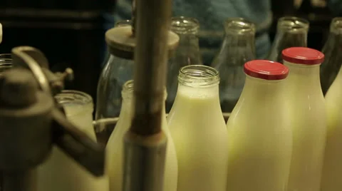 Adding caps to bottles filled with milk Stock Footage 35330573