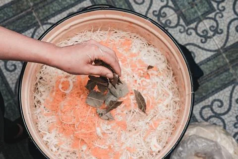 Adding carrots to cabbage, the process of cooking sauerkraut, finely chopped  스톡 사진