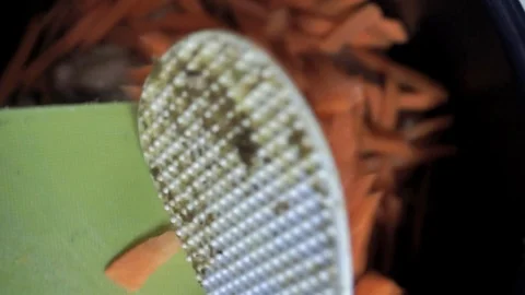 Adding carrots Stock Footage 101967278