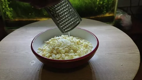 Adding cheese to corn soup Stock Footage 240832463