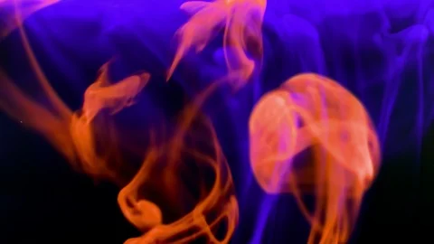 Adding chemicals/inks/reagents to solution. Stock-Footage 88403383