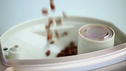 Adding coffee beans into coffee machine dispenser before preparing coffee. Stock Footage 143017493