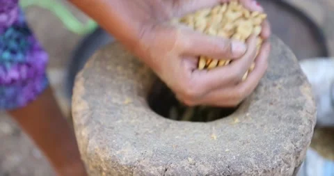 Adding coffee beans to grinding the coffee beans manually is a tradition Stock Footage 301747493