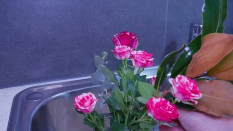 Adding Decorative Foliage to Fresh Rose Bouquet in Vase 스톡 동영상 319920199