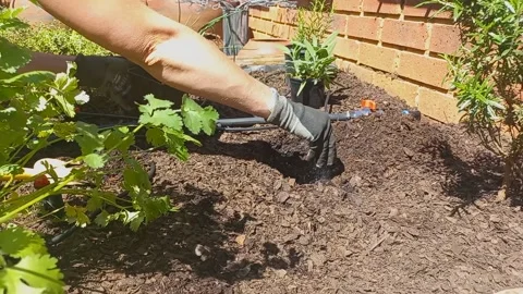 Adding fertilizer to prepare the ground for a plant Stock Footage 163037446